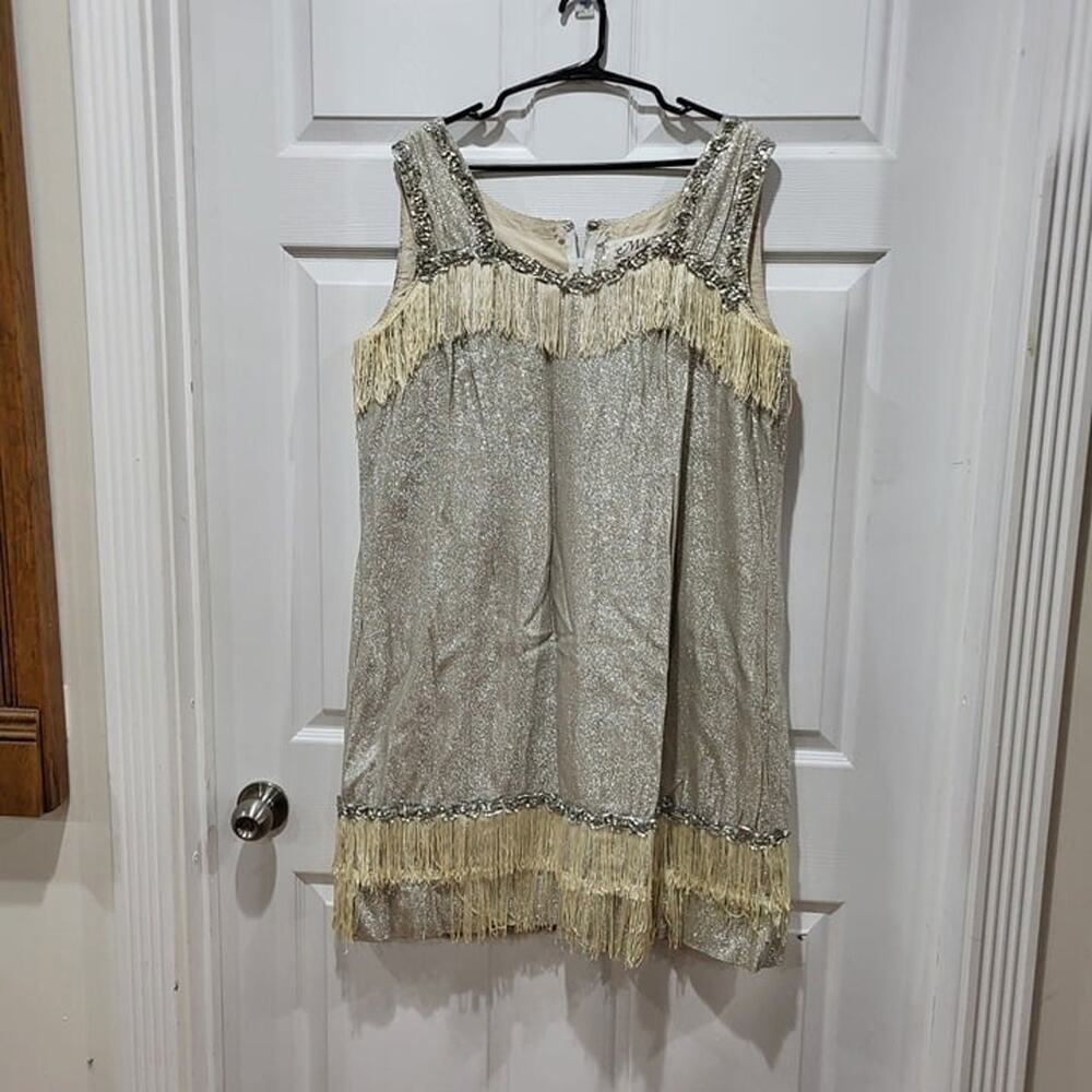 Vintage Halloween costume flapper dress silver adult size XL